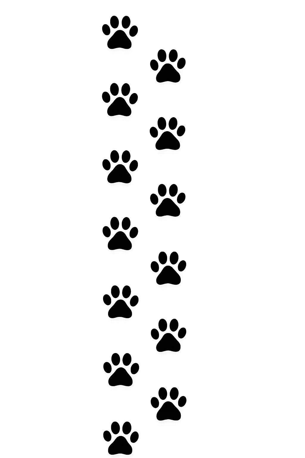 Poten